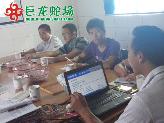 養(yǎng)蛇技術(shù)培訓(xùn),養(yǎng)蛇技術(shù)學(xué)習(xí)