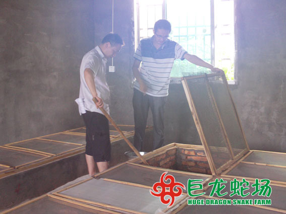養(yǎng)蛇技術(shù)培訓(xùn),養(yǎng)蛇技術(shù)學(xué)習(xí)